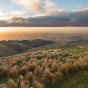 Ōtautahi Christchurch Dinners - 25 Sept & 27 Nov 2025